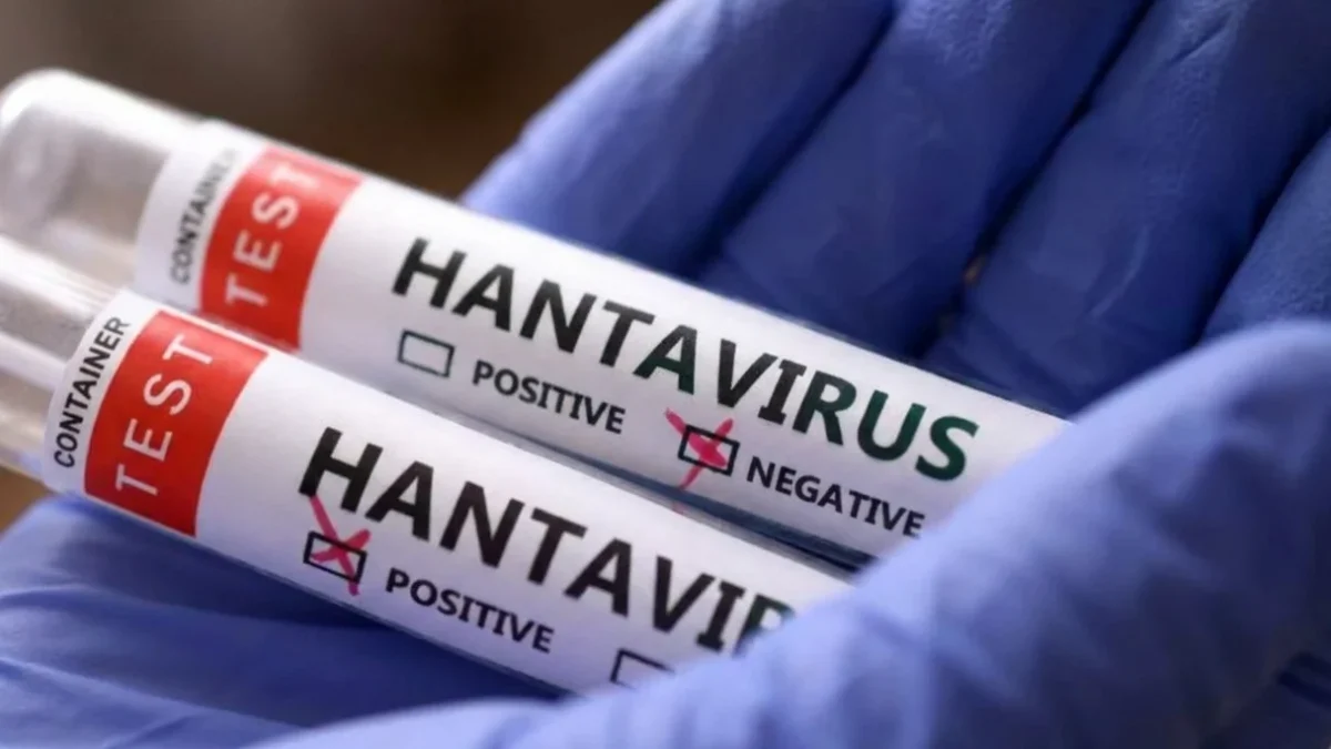 Avertisment medical la granița de vest. Ce virus a adus un pompier român din Serbia hantavirus