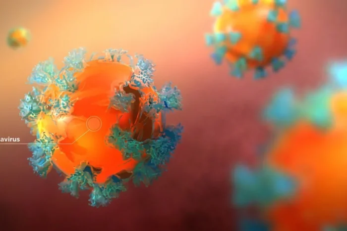 hantavirus Arad