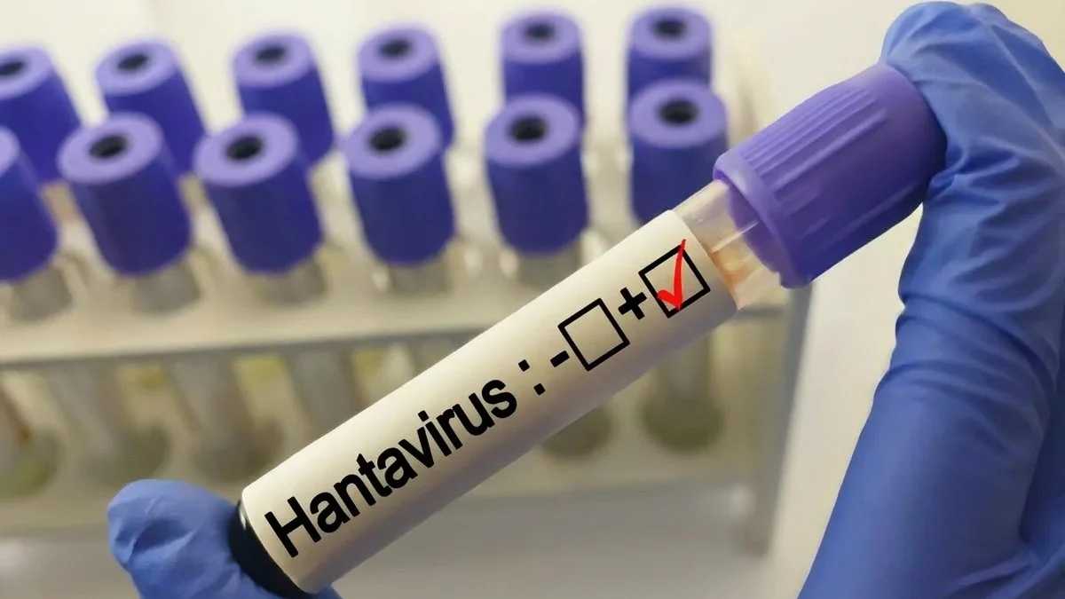 Focar de hantavirus pe o nava de croaziera cu 150 de turisti. Trei persoane au murit hantavirus nava de croaziera