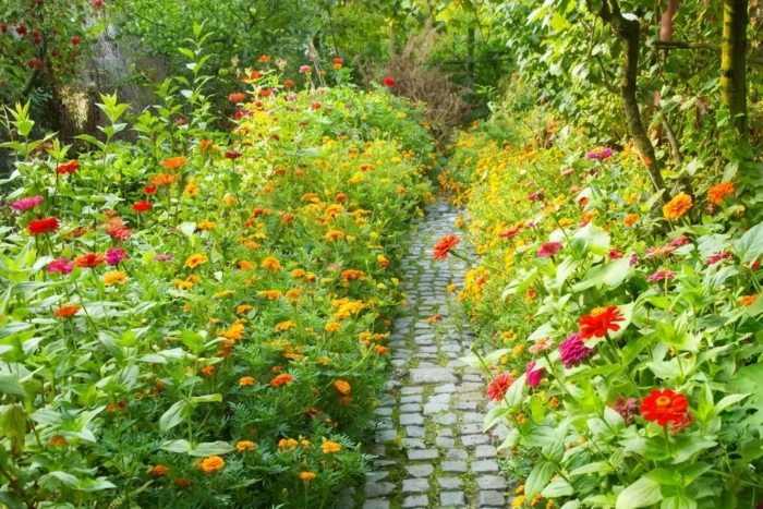 îngrășământ natural flori