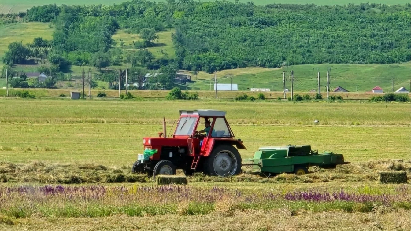 Termen limită strict pentru cererile APIA. Fermierii riscă pierderea subvențiilor după 5 iunie.