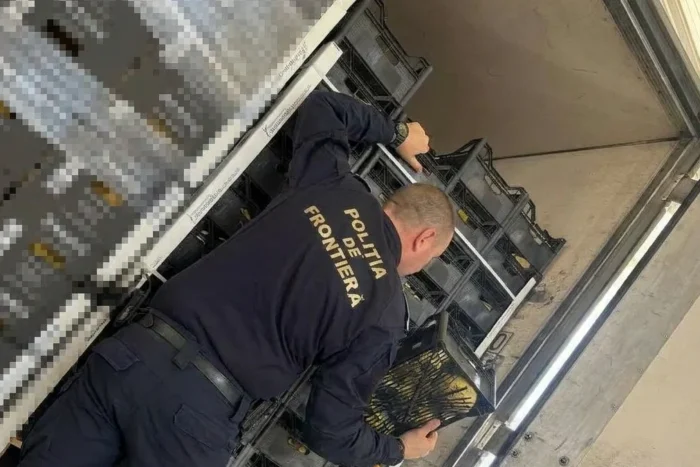 țigări de contrabandă