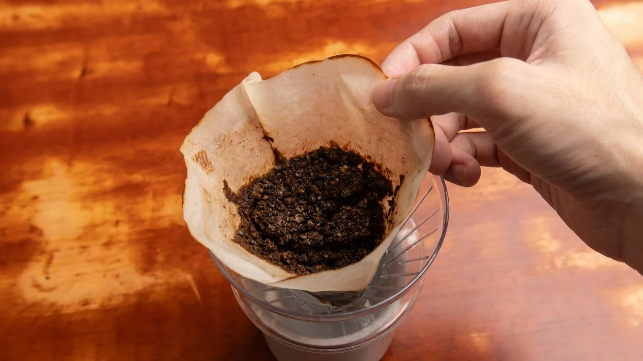 Secretul ascuns din bucătăria ta. La ce folosește zațul de cafea aruncat zilnic la gunoi