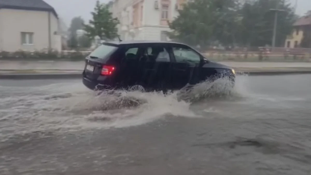 cod portocaliu Constanța