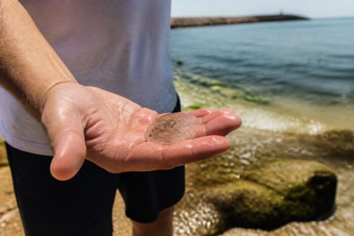 Bacteriile Vibrio se înmulțesc în Marea Neagră. Cum crește riscul de infecție pe litoralul României Bacteriile Vibrio se înmulțesc în Marea Neagră. Cum crește riscul de infecție pe litoralul României