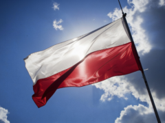 Peste 30 de cadavre, majoritatea fetuși umani, găsite în Polonia. Cum a ajuns cazul la procurori Peste 30 de cadavre, majoritatea fetuși umani, găsite în Polonia. Cum a ajuns cazul la procurori