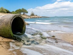 Plaja Ofitserski din Varna a fost închisă pentru scăldat. Ce au arătat analizele apei și ce risc au turiștii români