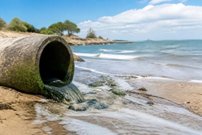 Plaja Ofitserski din Varna a fost închisă pentru scăldat. Ce au arătat analizele apei și ce risc au turiștii români