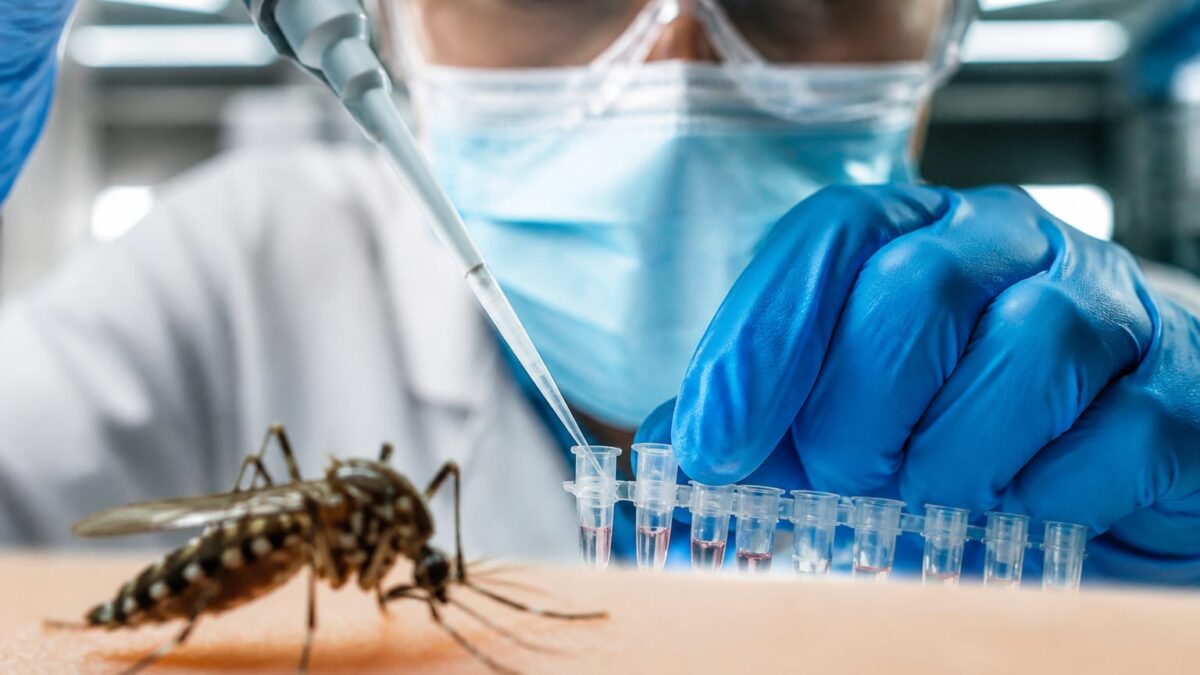 Virusul Oropouche a infectat 9,4 milioane de oameni din 1960. Noile date schimbă evaluarea riscului sanitar global Virusul Oropouche a infectat 9,4 milioane de oameni din 1960. Noile date schimbă evaluarea riscului sanitar global