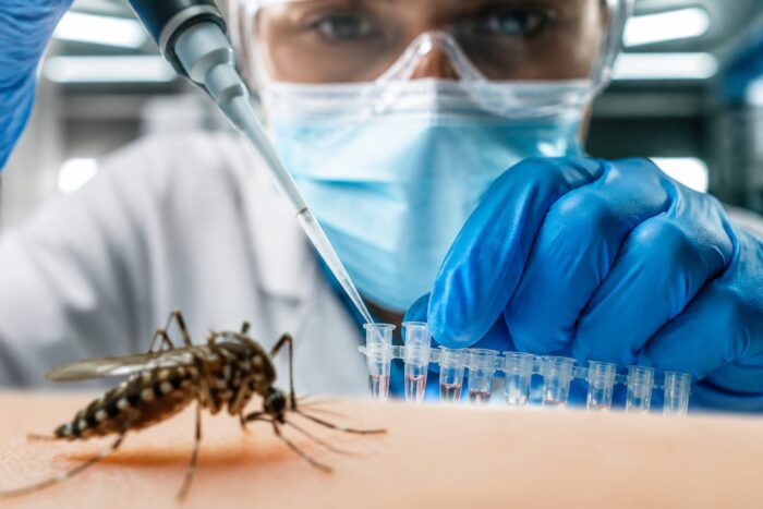 Virusul Oropouche a infectat 9,4 milioane de oameni din 1960. Noile date schimbă evaluarea riscului sanitar global