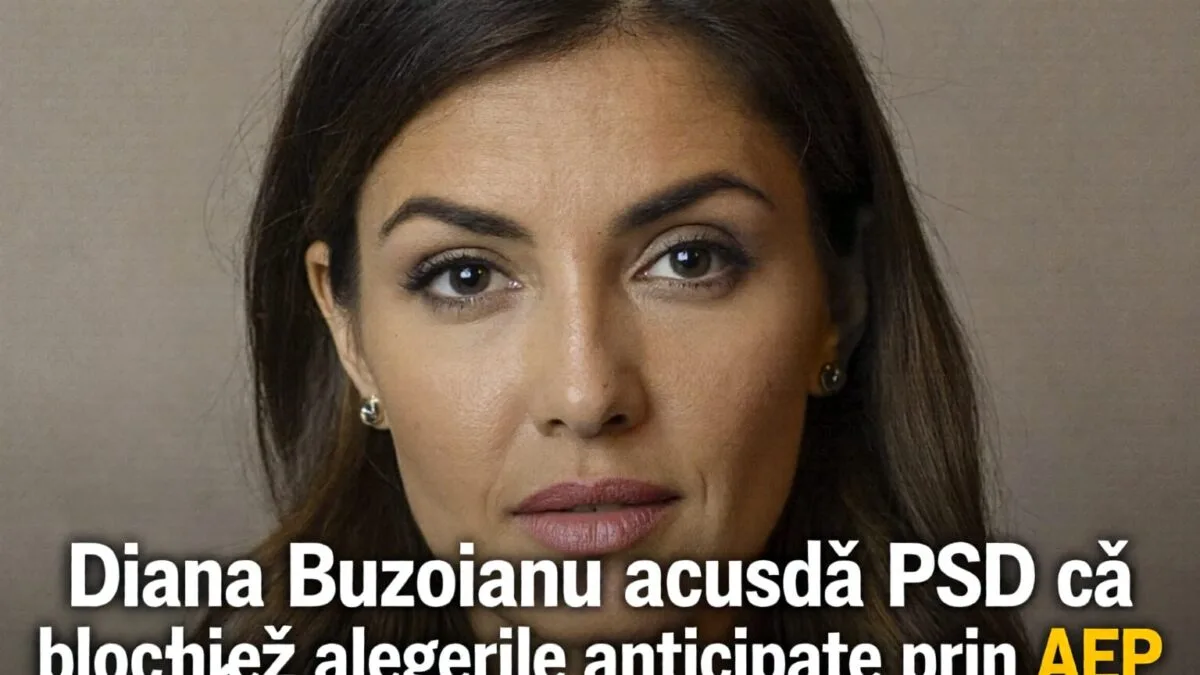 alegeri anticipate, Diana Buzoianu acuză PSD că blochează alegerile anticipate prin AEP