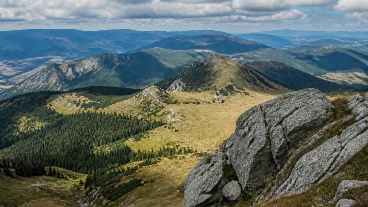 Cel mai mare județ din România suprafață populație și detalii geografice
