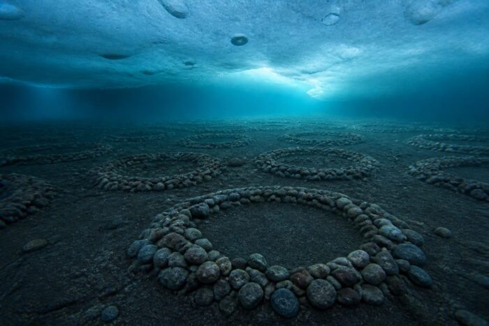 cuiburi de pești Antarctica, 60 de milioane de cuiburi de pești, descoperite sub gheața Antarcticii