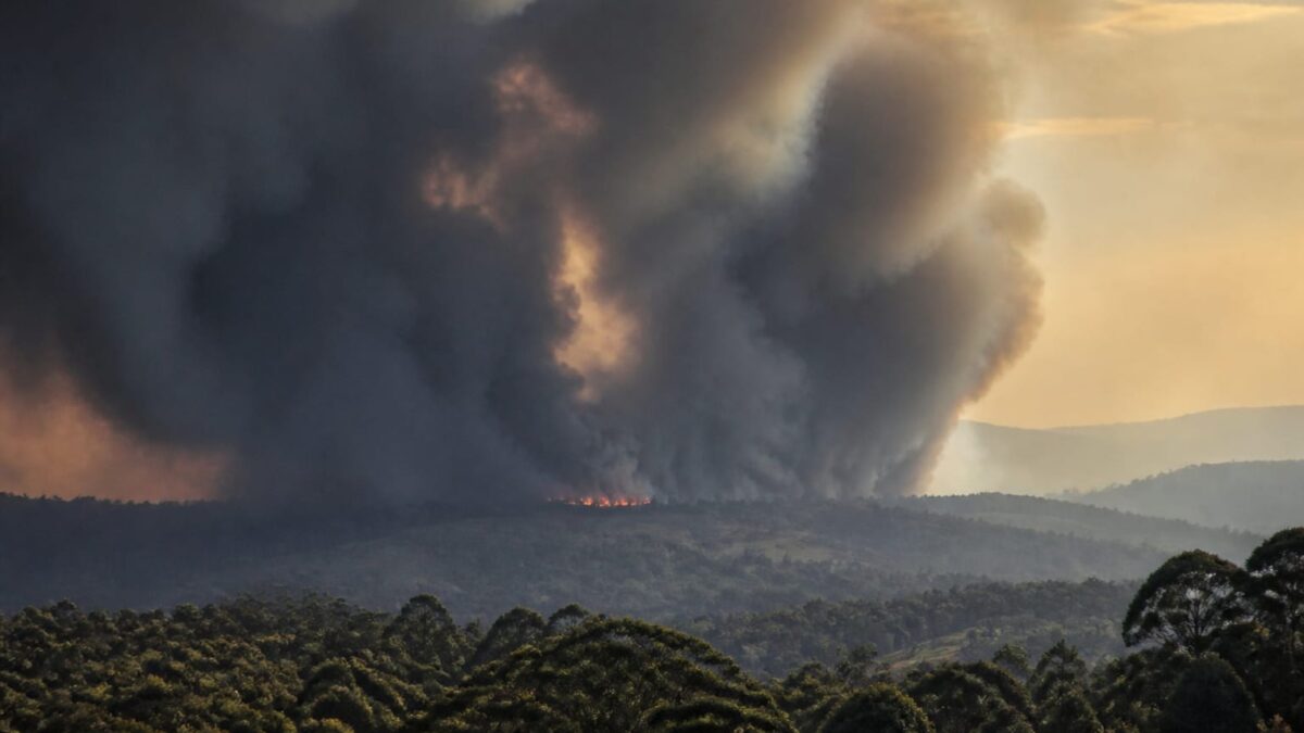 decese suplimentare fum incendii, 1,9 milioane de decese suplimentare, estimate din cauza fumului de incendii până în 2055