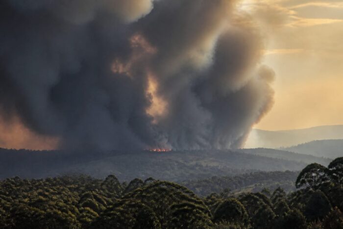 decese suplimentare fum incendii, 1,9 milioane de decese suplimentare, estimate din cauza fumului de incendii până în 2055
