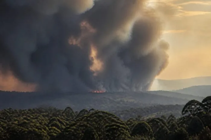 decese suplimentare fum incendii, 1,9 milioane de decese suplimentare, estimate din cauza fumului de incendii până în 2055