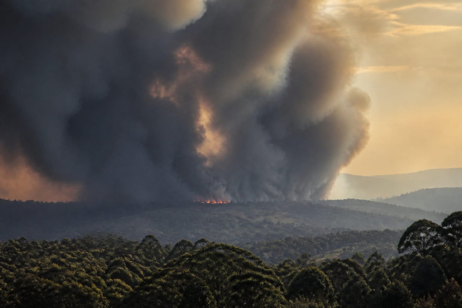 1,9 milioane de decese suplimentare, estimate din cauza fumului de incendii până în 2055