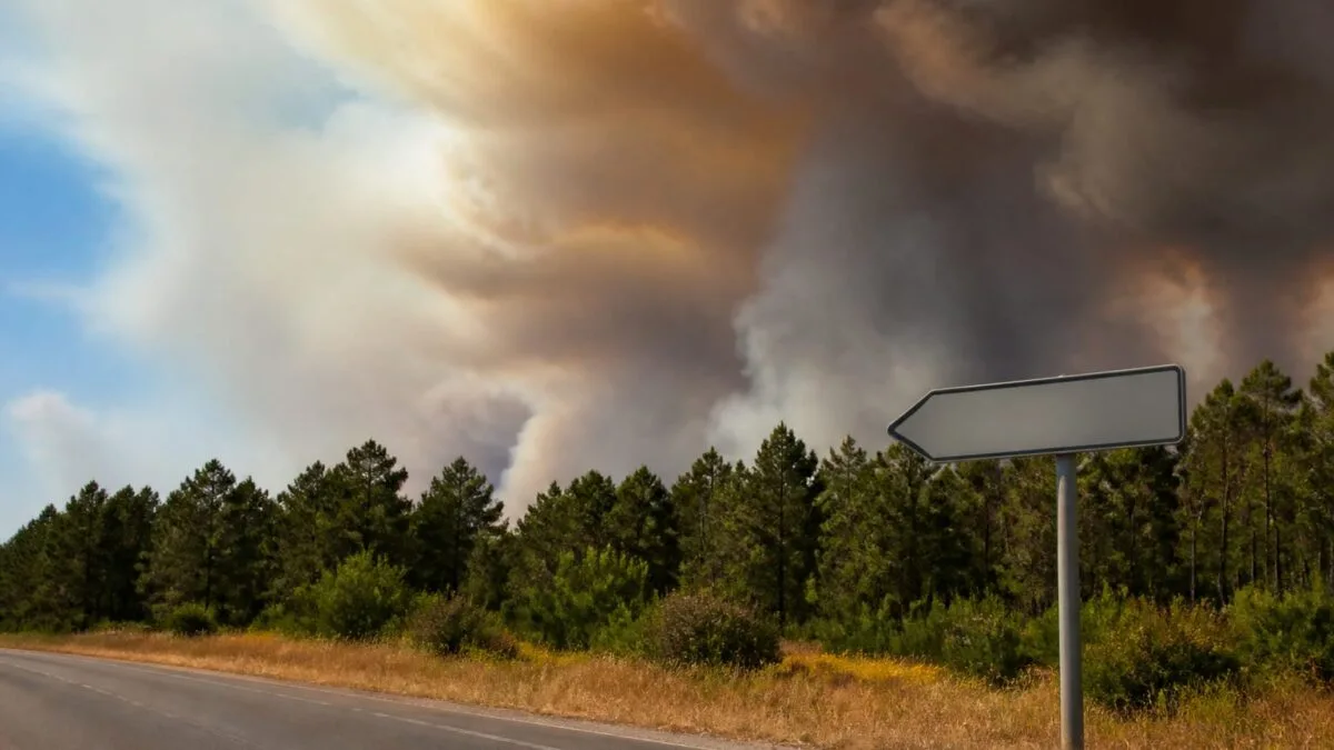 evacuare Bordeaux, Incendiile de vegetație amenință Bordeaux cu o evacuare masivă