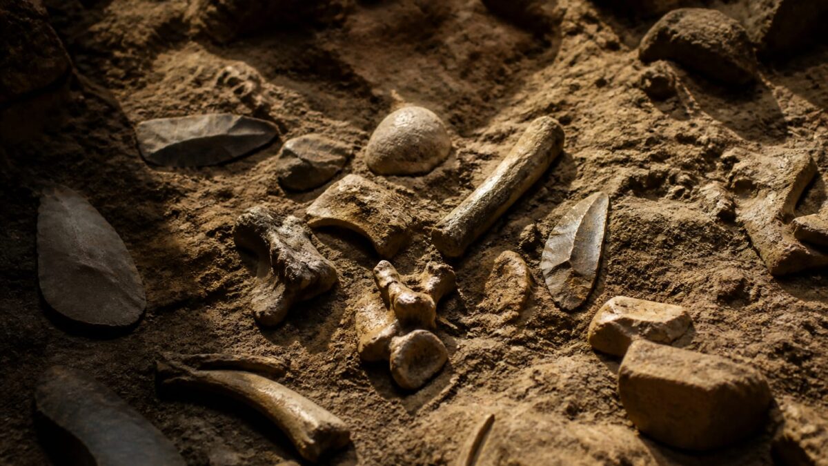 Homo antecessor canibalism, Fosile vechi de 850.000 de ani din Gran Dolina arată canibalism și la adulți