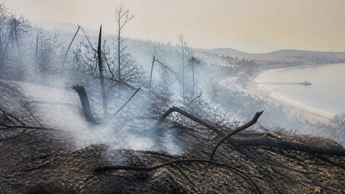 incendii Creta, Vacanțele din sudul Europei, sub presiunea incendiilor. Mii de evacuați și doi pompieri morți în Grecia