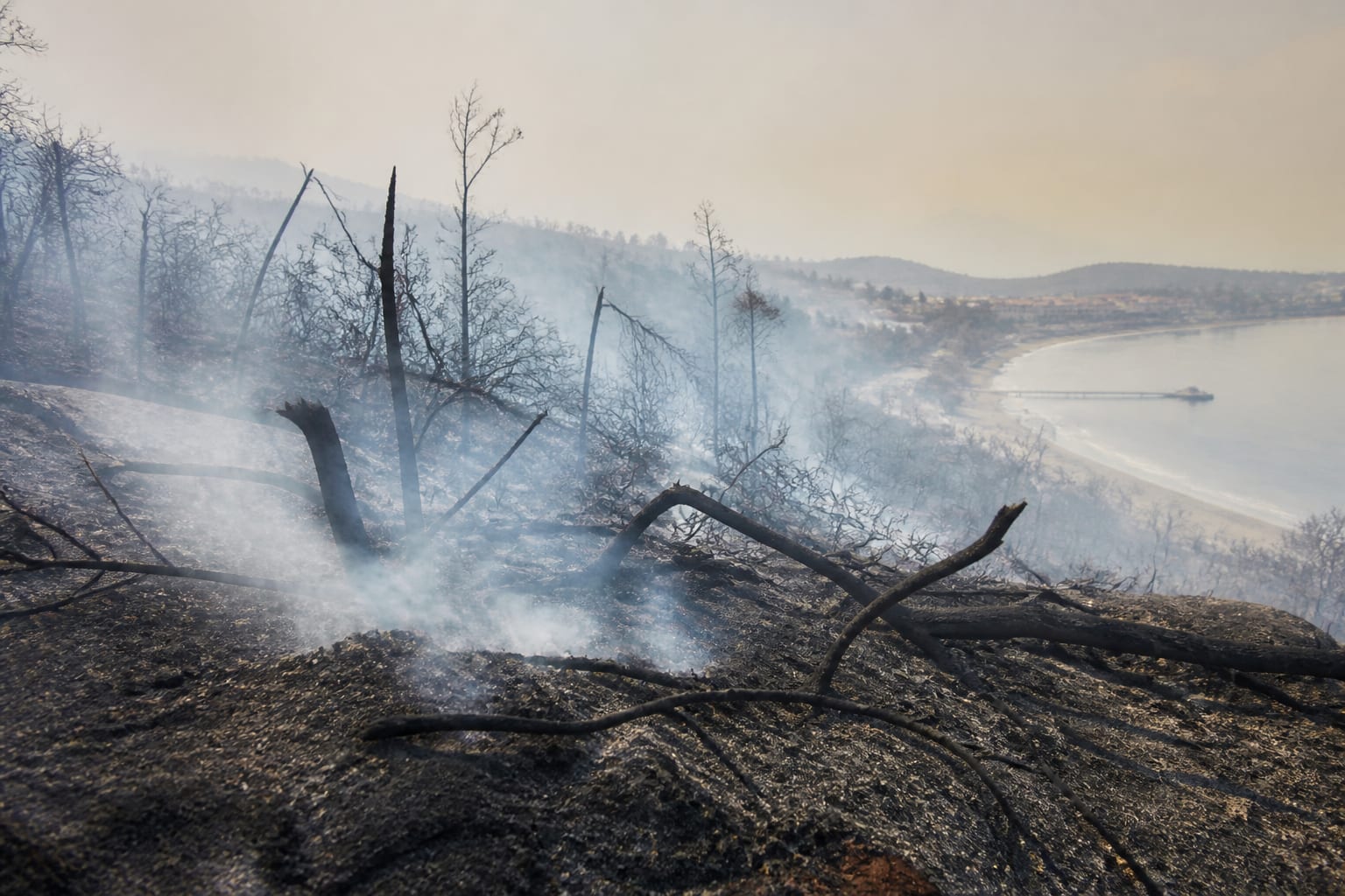 Vacanțele din sudul Europei, sub presiunea incendiilor. Mii de evacuați și doi pompieri morți în Grecia