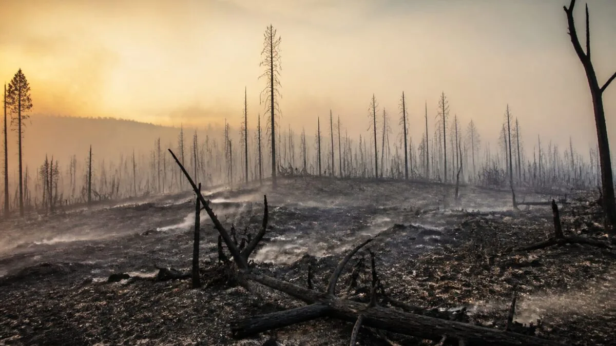 incendii Franța și Spania, Peste 300.000 de oameni au fost evacuați din cauza incendiilor din Franța și Spania