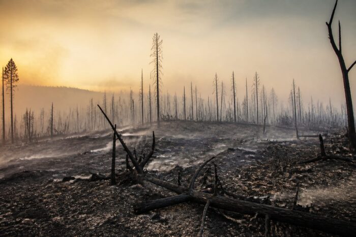 incendii Franța și Spania, Peste 300.000 de oameni au fost evacuați din cauza incendiilor din Franța și Spania