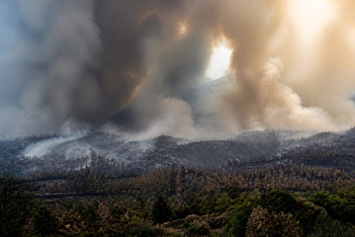 incendii Franța Spania, Franța a activat Mecanismul UE pentru incendiile devastatoare