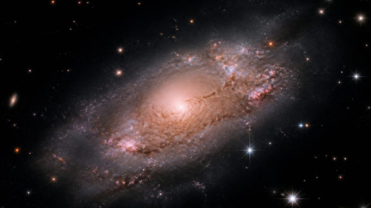 James Webb galaxie matură