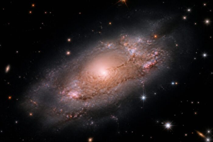 James Webb galaxie matură