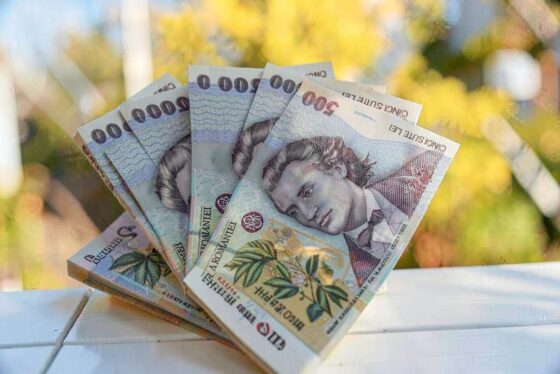 Salariul mediu net a scăzut la 5.684 de lei în mai 2026