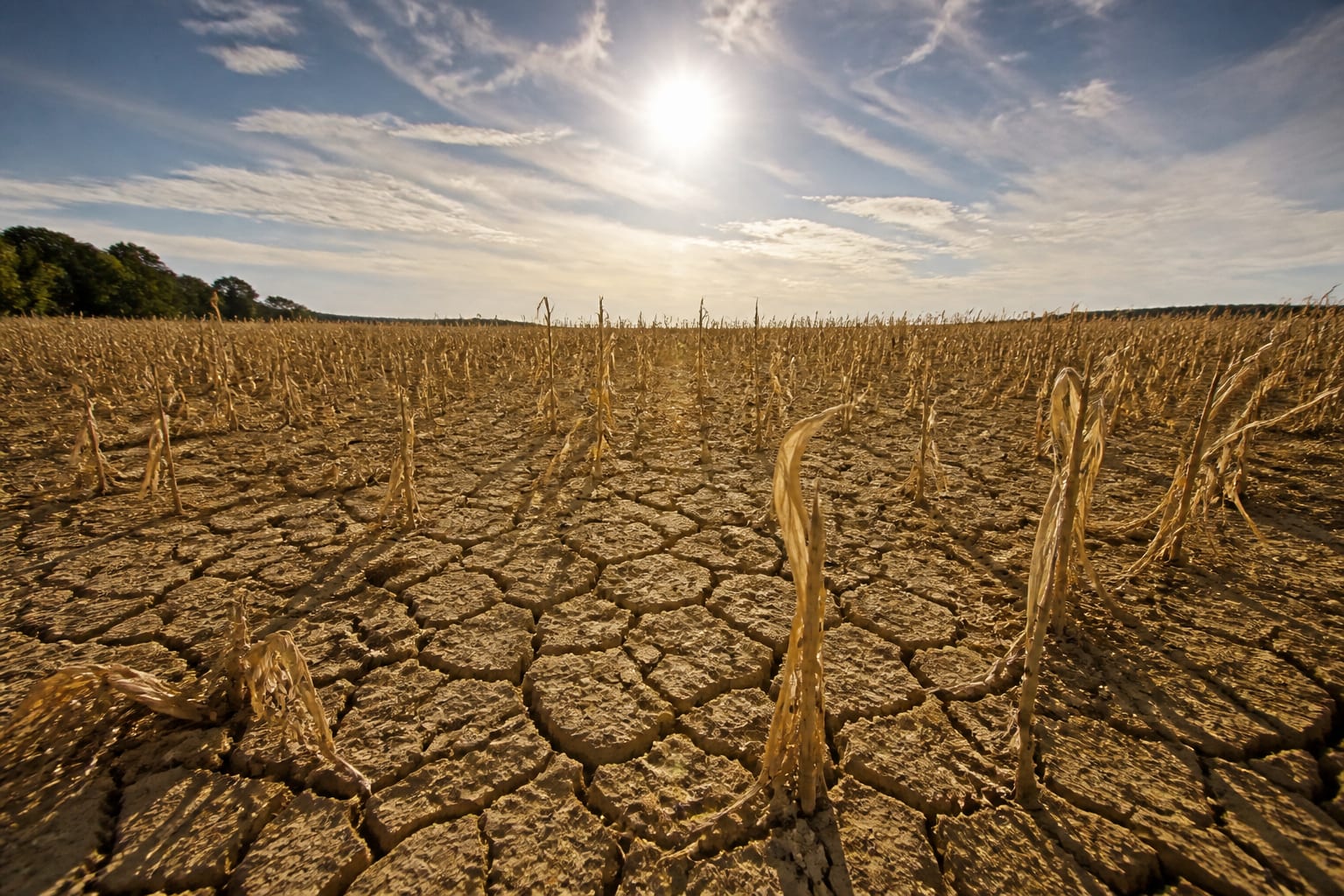 Europa de Vest a înregistrat cel mai cald interval iunie-iulie din istorie