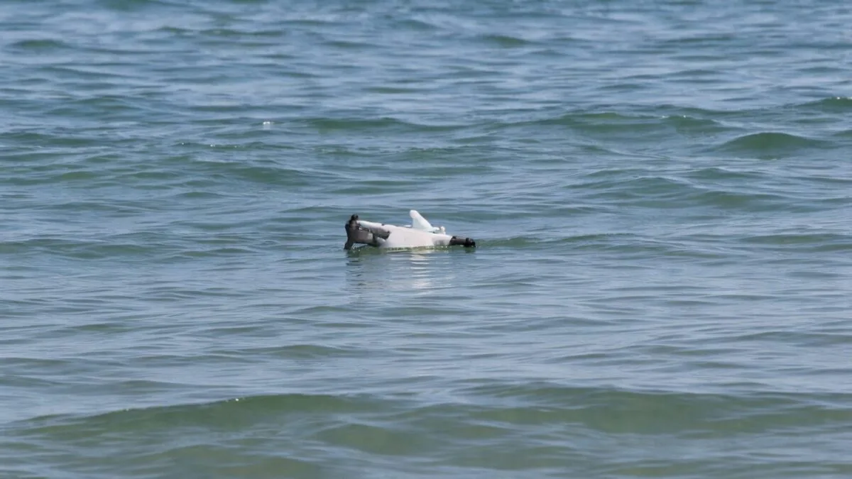 dronă Mamaia, O dronă a fost descoperită pe o plajă din Mamaia
