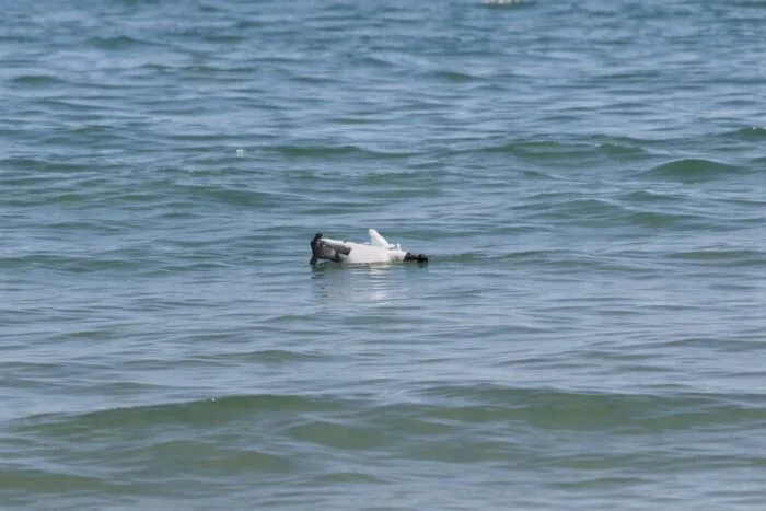 dronă Mamaia, O dronă a fost descoperită pe o plajă din Mamaia