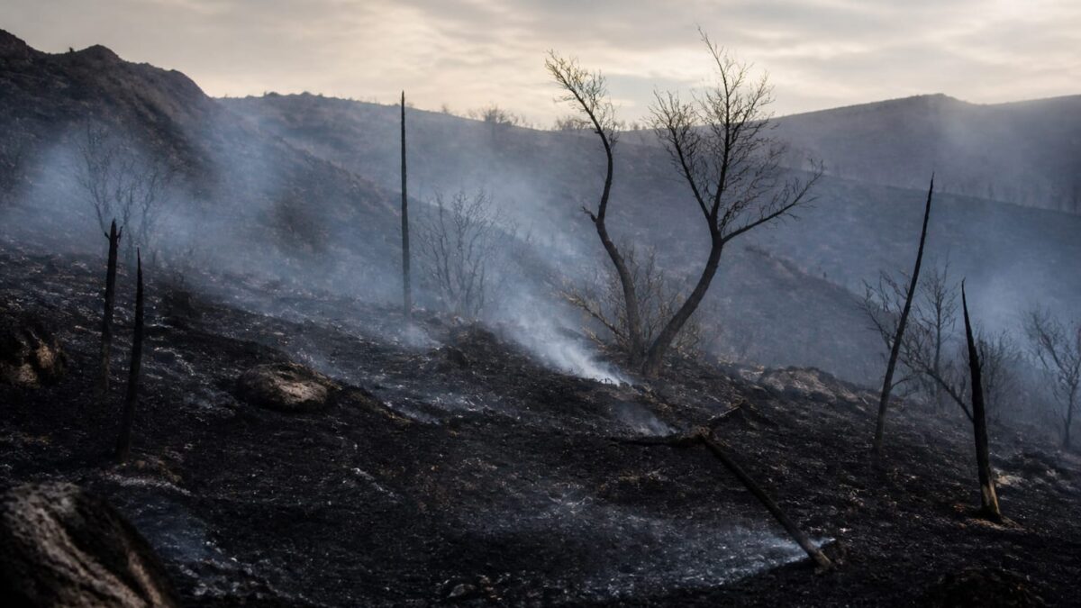 incendiu Loumpa, Pompierii români au oprit un incendiu puternic în Loumpa, Attica