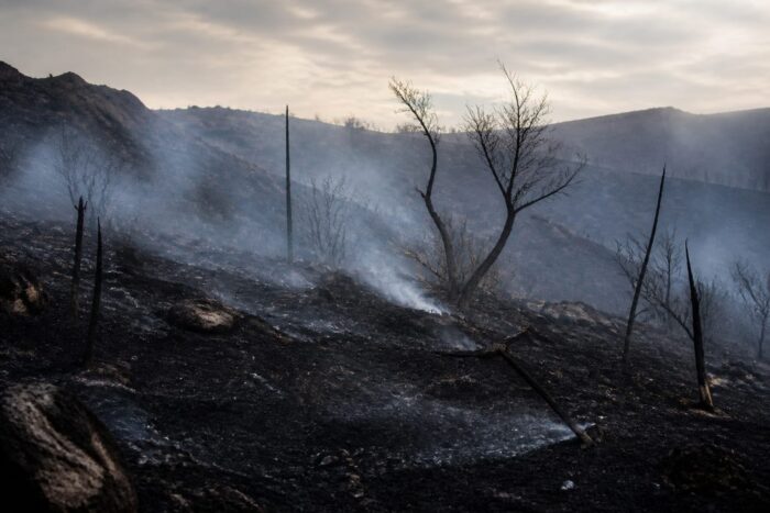 incendiu Loumpa, Pompierii români au oprit un incendiu puternic în Loumpa, Attica