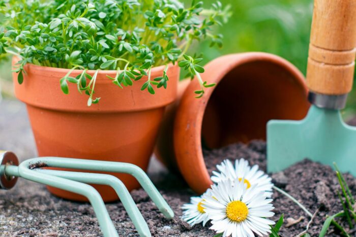 spray wd40 unelte de gradina econstrukt