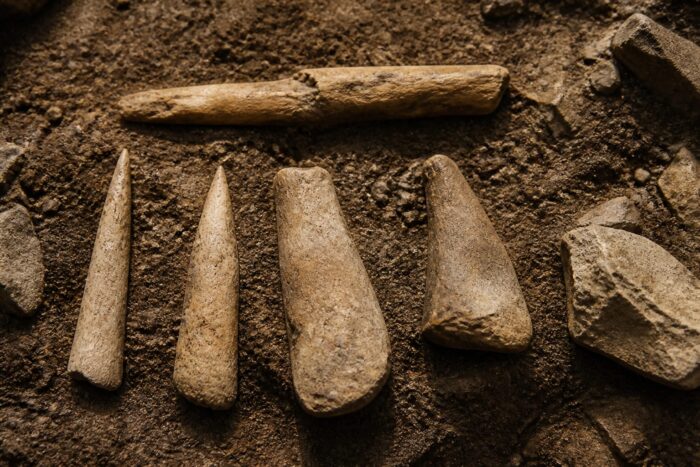unelte din os neandertalieni România, 83 de unelte din os, primele din România, confirmă ingeniozitatea neandertalienilor