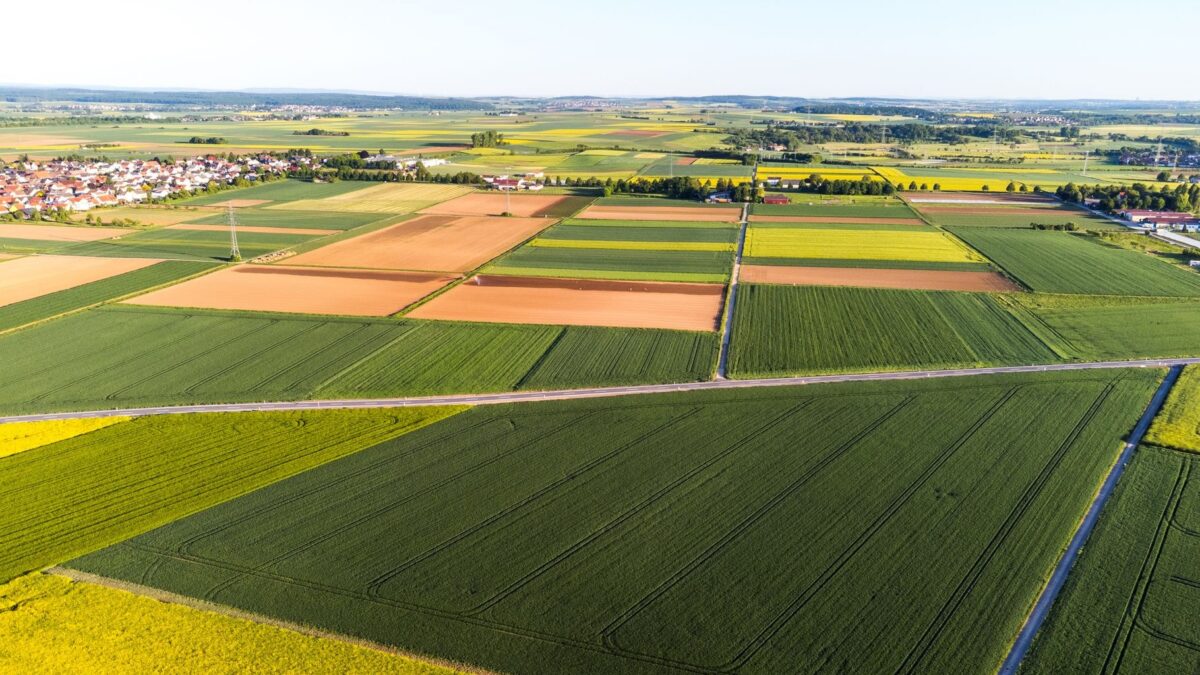 Terenuri agricole sub legea arendei