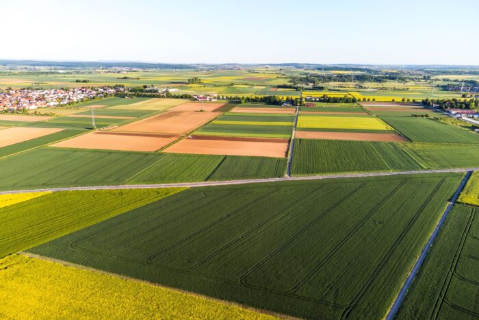 Terenuri agricole sub legea arendei
