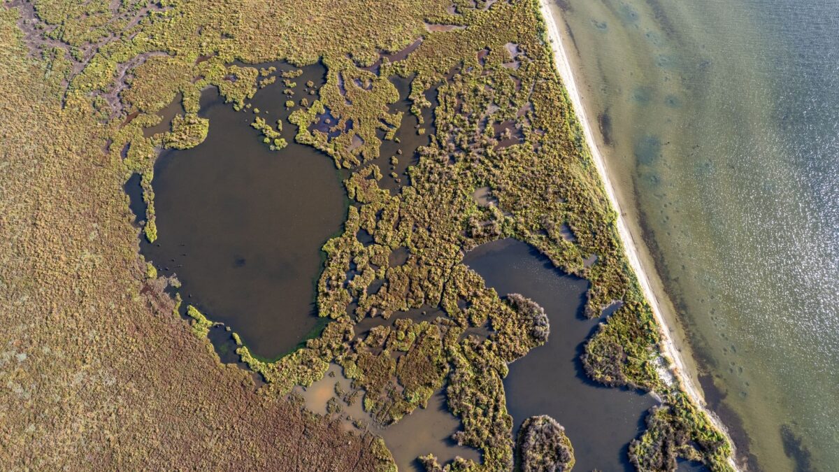 Zonă umedă pentru conservarea biodiversității
