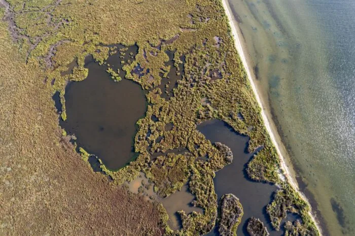 Zonă umedă pentru conservarea biodiversității