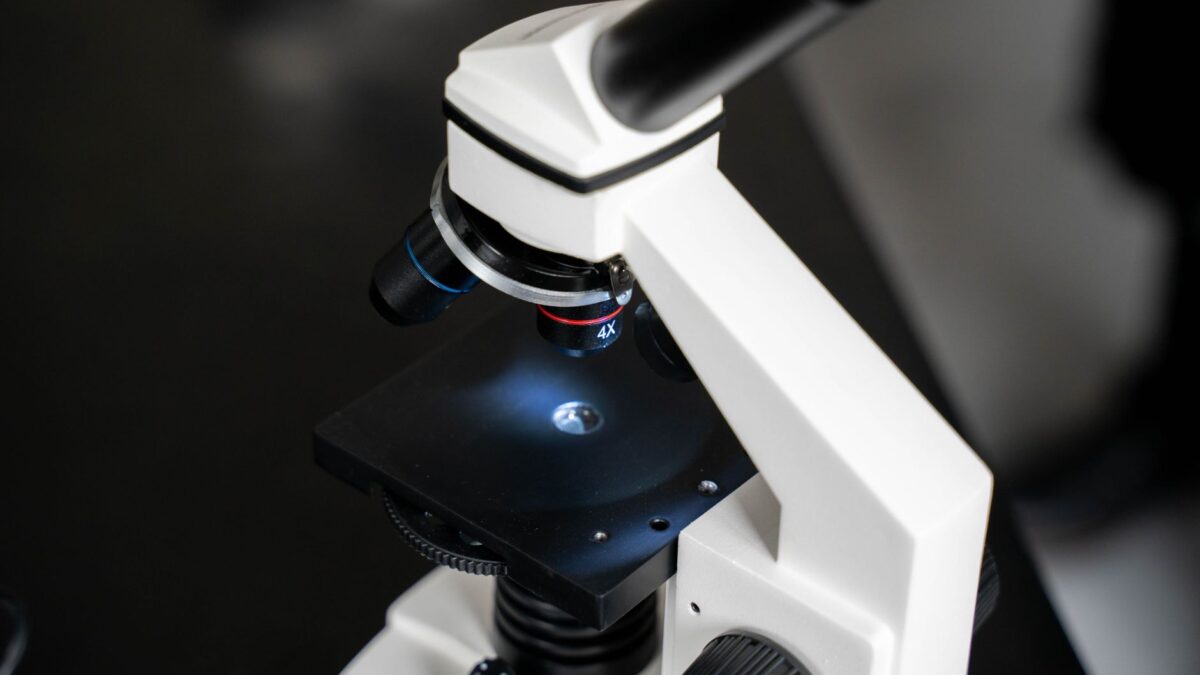 Microscop pentru studiul dezvoltării embrionare