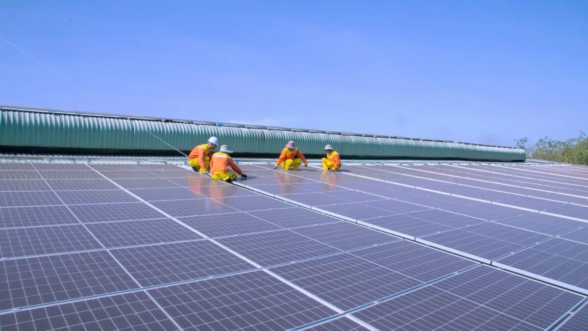 Panouri pentru energie regenerabilă
