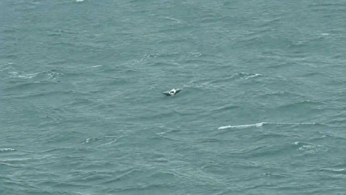 Suspicious fragments or a small debris piece floating in the middle of a choppy, gray sea