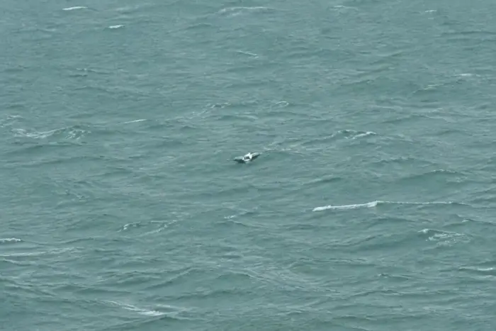 Suspicious fragments or a small debris piece floating in the middle of a choppy, gray sea
