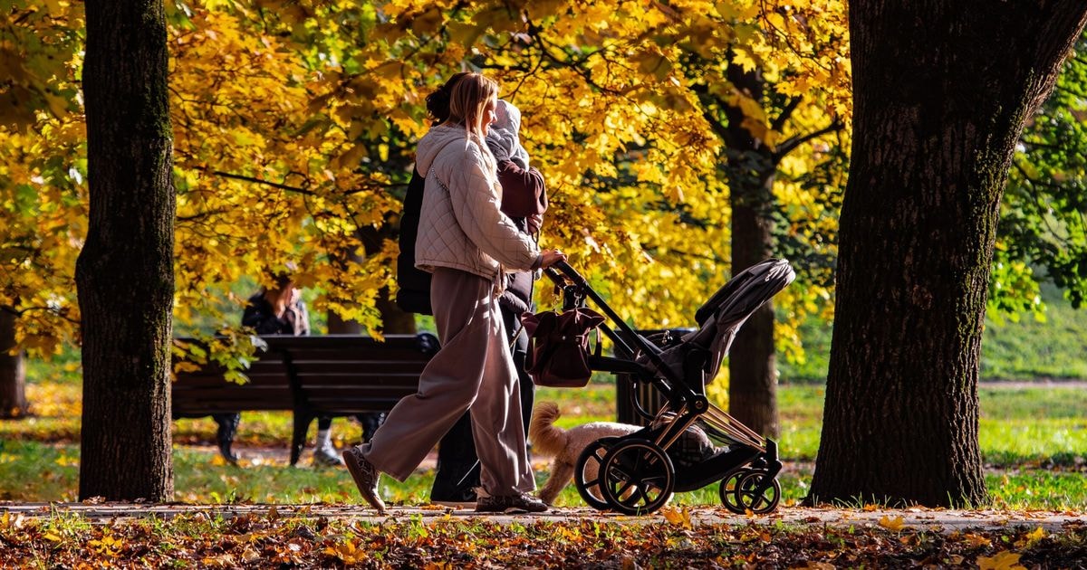 O mamă plimbă copilul în cărucior printr-un parc în timpul toamnei