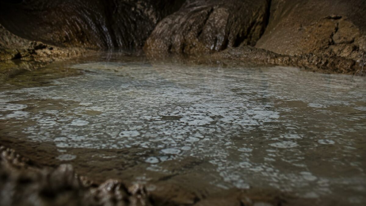 Lac cu biofilm Movile